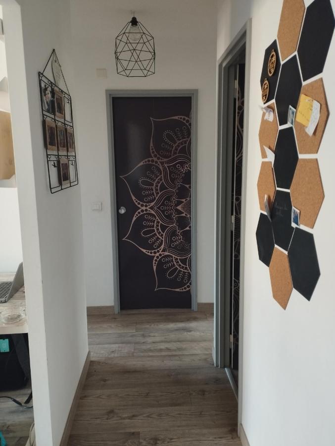 Charmant Appartement 3 Pieces Mandelieu エクステリア 写真